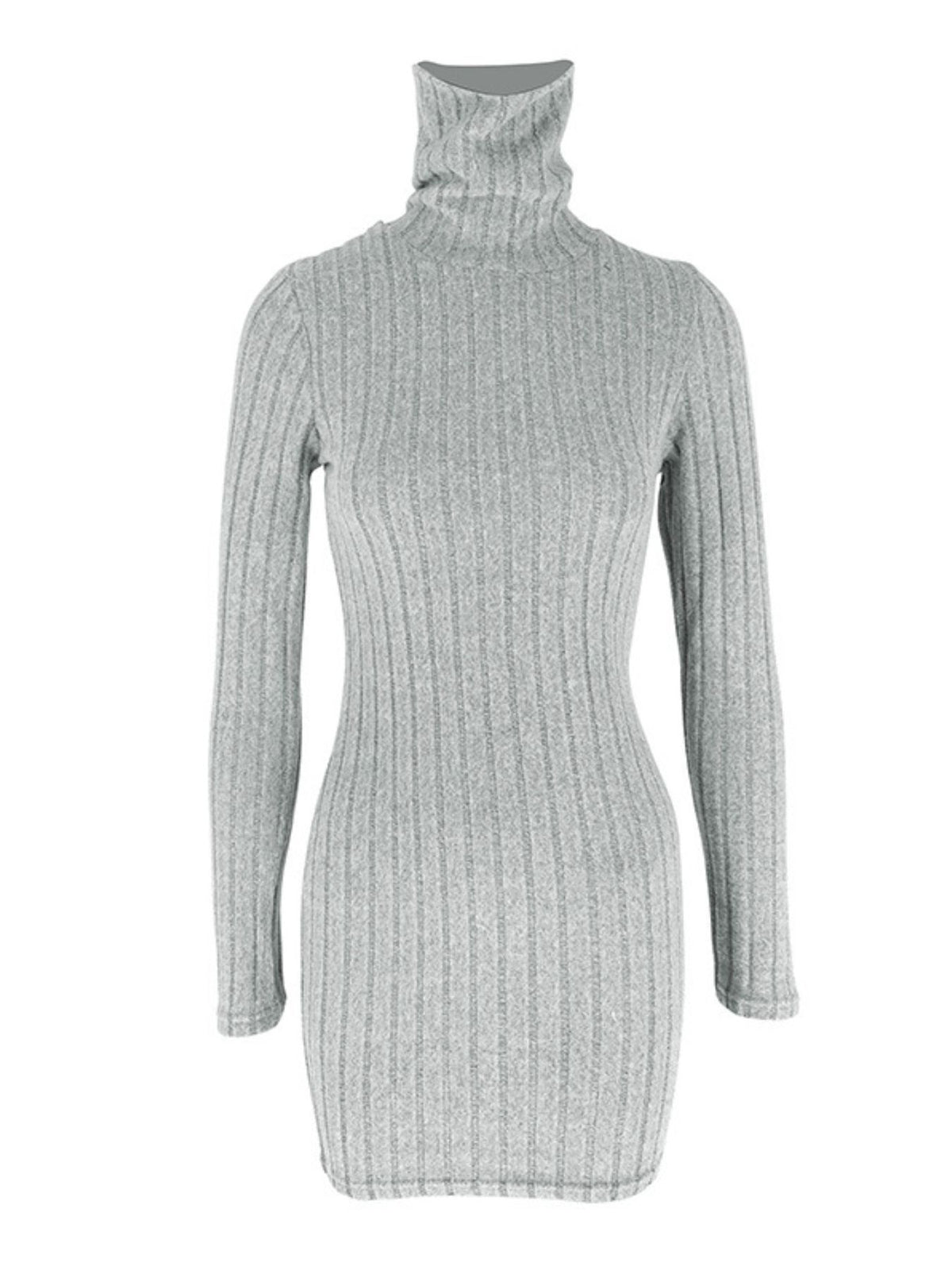 Turtleneck Ribbed Bodycon Mini Dress