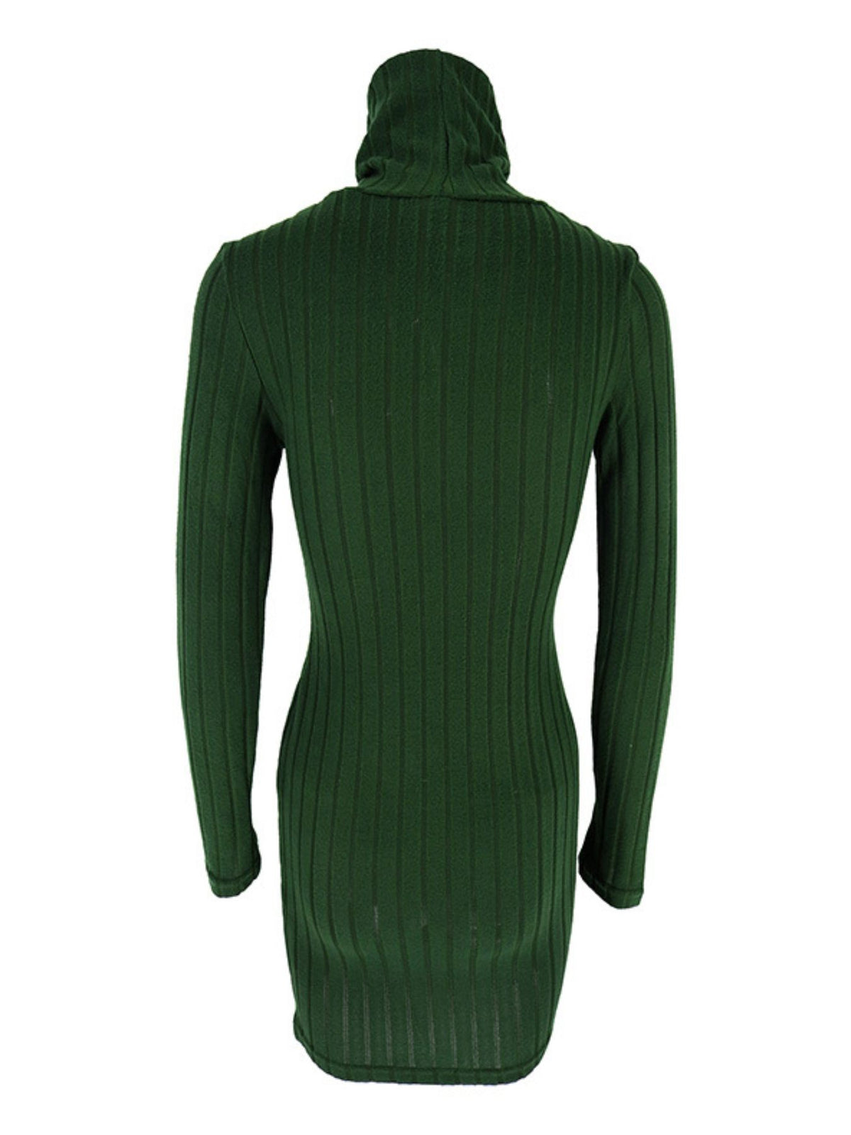 Turtleneck Ribbed Bodycon Mini Dress