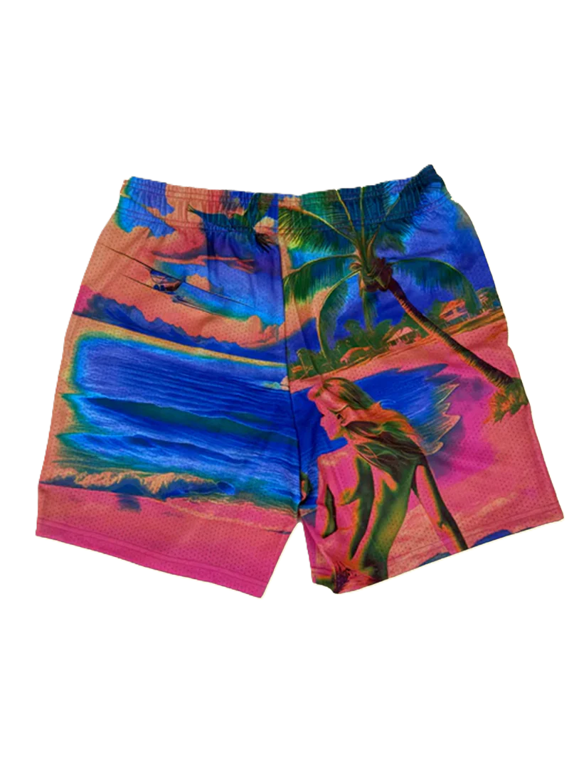 DRY ROT THE VIEW MESH SHORTS